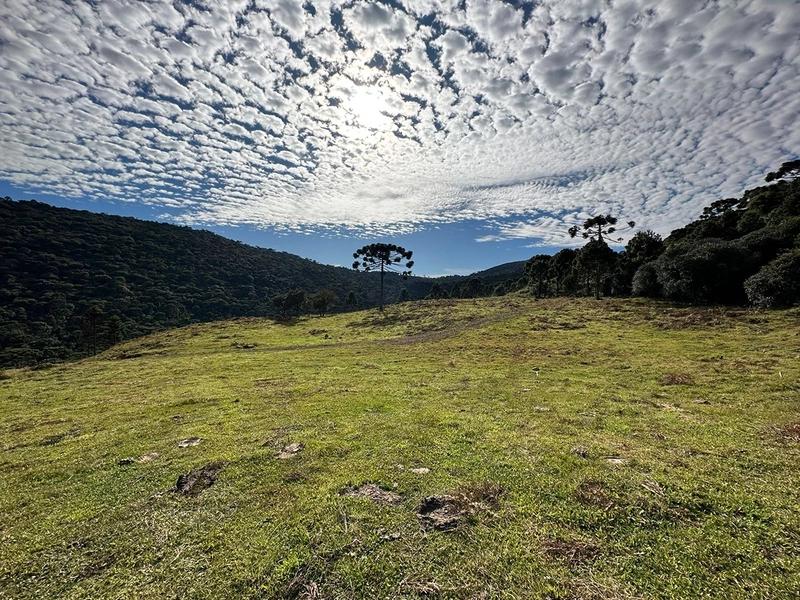 Terreno com Vista: 4ª foto da galeria de imagens do imóvel