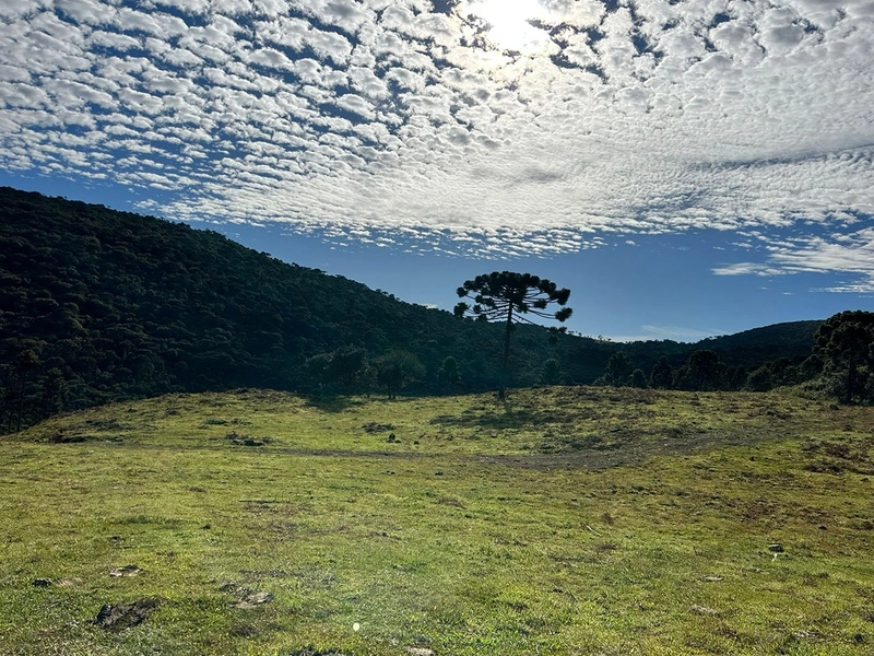 Terreno com Vista: 3ª foto da galeria de imagens do imóvel