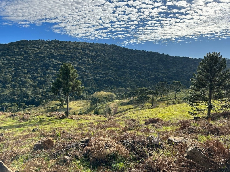 Terreno com Vista: 8ª foto da galeria de imagens do imóvel