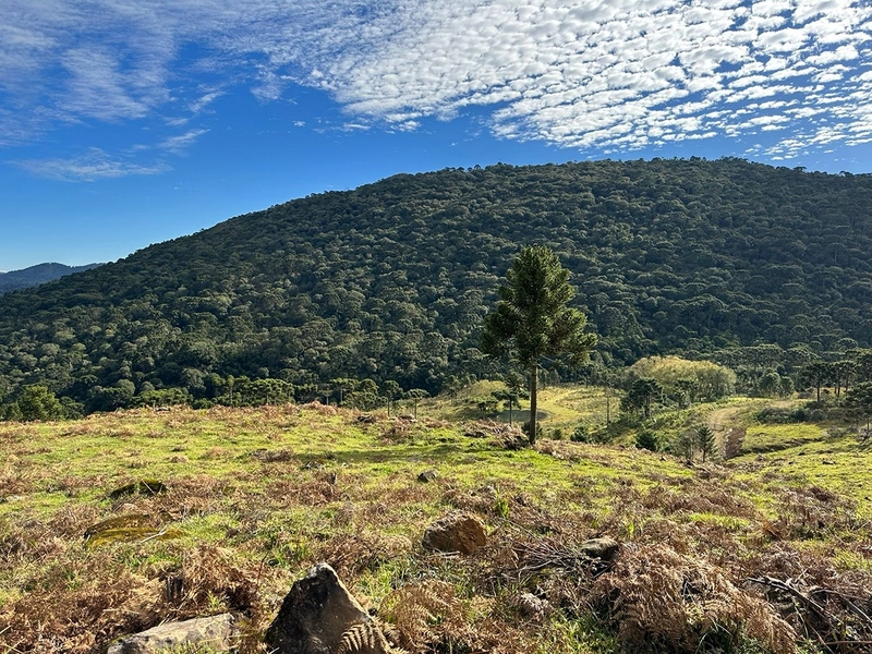 Terreno com Vista: 5ª foto da galeria de imagens do imóvel