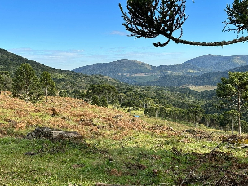Terreno com Vista: 1ª foto da galeria de imagens do imóvel