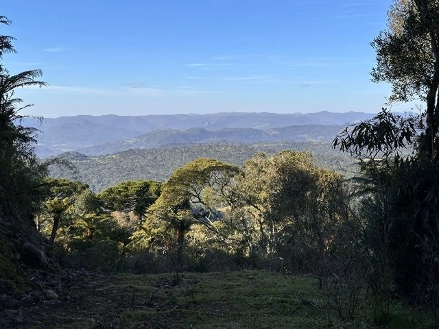 Terreno com Vista: 8ª foto da galeria de imagens do imóvel