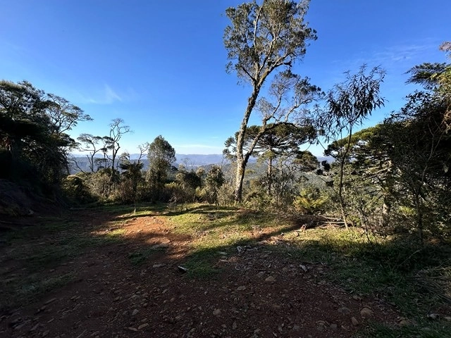 Terreno com Vista: 4ª foto da galeria de imagens do imóvel