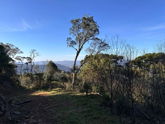 Terreno com Vista: 1ª foto da galeria de imagens do imóvel
