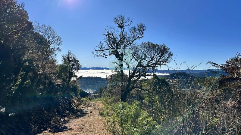 Terreno com Vista: 2ª foto da galeria de imagens do imóvel