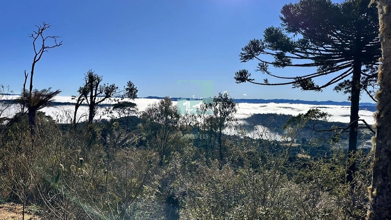 Terreno com Vista: 1ª foto da galeria de imagens do imóvel