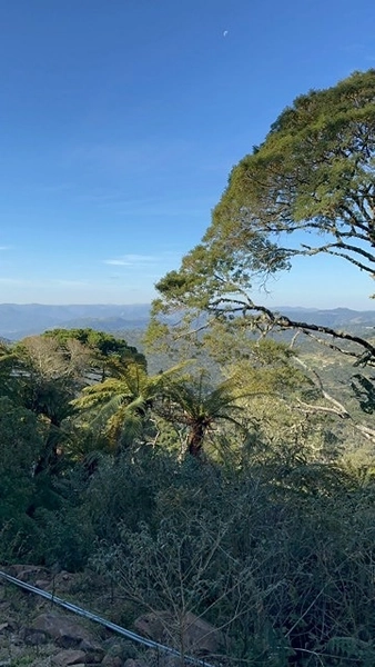 Terreno com Vista: 3ª foto da galeria de imagens do imóvel