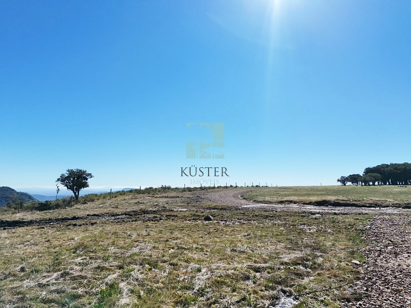 Terreno de 3 Hectares com Vista, Lago e Nascente em Urubici: 4ª foto da galeria de imagens do imóvel