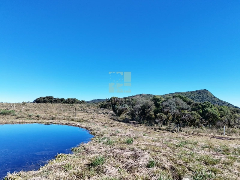Terreno de 3 Hectares com Vista, Lago e Nascente em Urubici: 13ª foto da galeria de imagens do imóvel