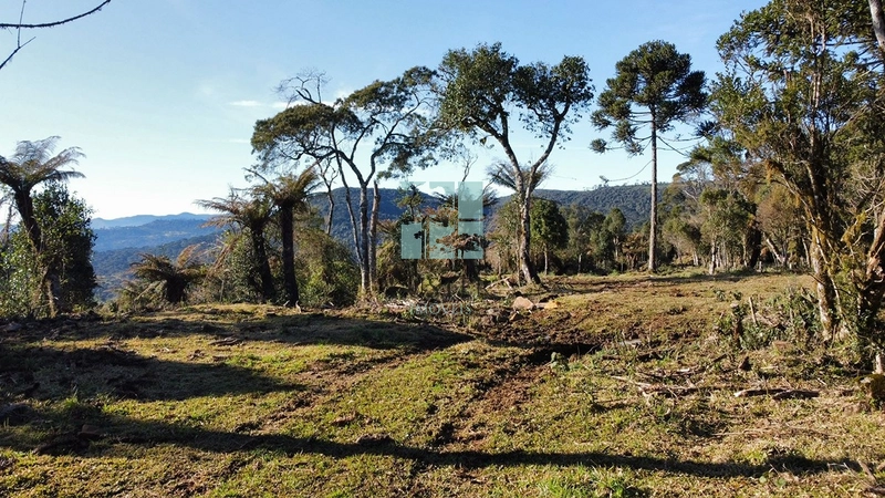 Belo Terreno com Cachoeira: 12ª foto da galeria de imagens do imóvel