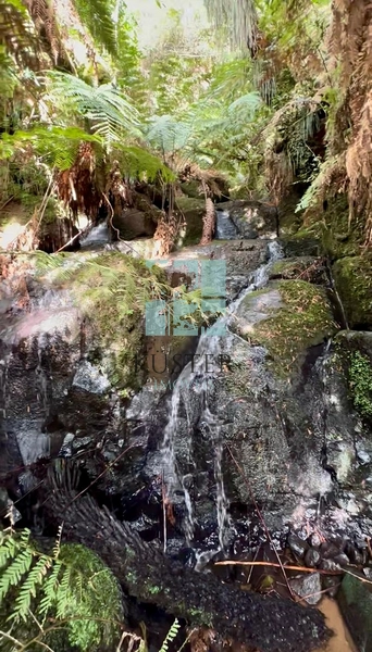 Belo Terreno com Cachoeira: 18ª foto da galeria de imagens do imóvel