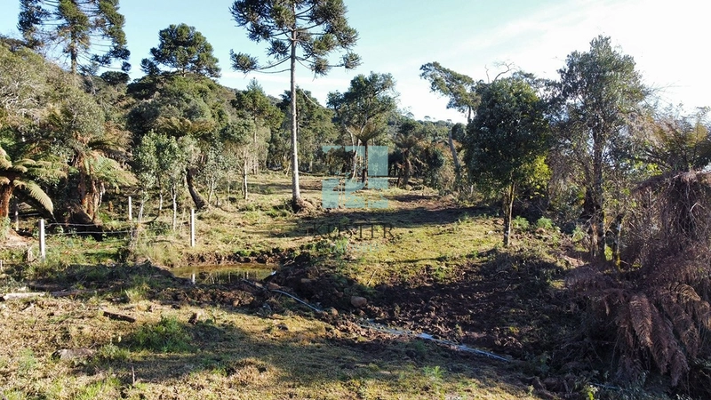 Belo Terreno com Cachoeira: 8ª foto da galeria de imagens do imóvel