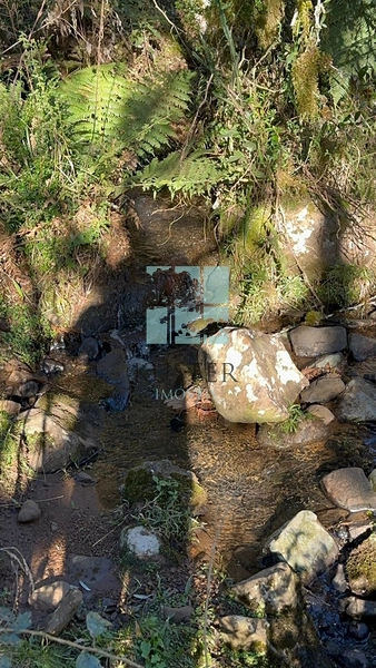 Belo Terreno com Cachoeira: 26ª foto da galeria de imagens do imóvel