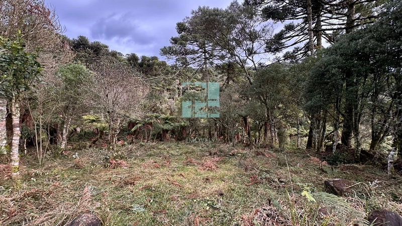 Belo Terreno com Cachoeira: 22ª foto da galeria de imagens do imóvel