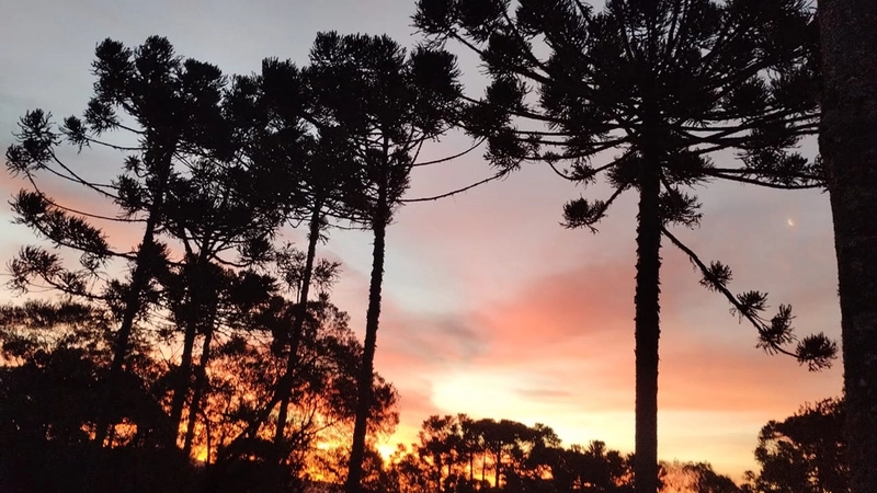 Casa de Campo : 15ª foto da galeria de imagens do imóvel