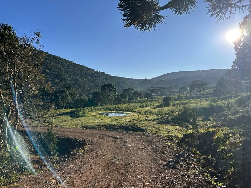 Casa de Campo: 20ª foto da galeria de imagens do imóvel