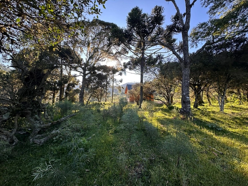 Casa de Campo: 7ª foto da galeria de imagens do imóvel
