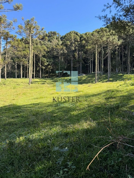 Terreno com Cachoeira: 4ª foto da galeria de imagens do imóvel