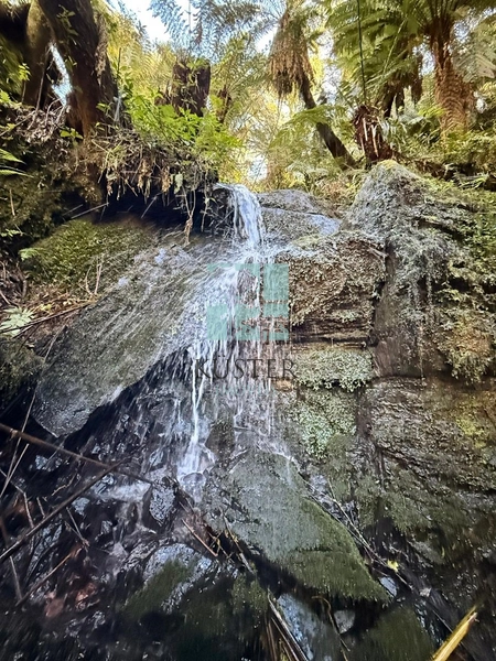 Terreno com Cachoeira: 13ª foto da galeria de imagens do imóvel