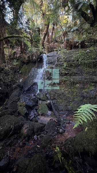Terreno com Cachoeira: 14ª foto da galeria de imagens do imóvel