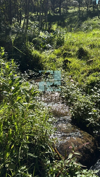Terreno com Cachoeira: 5ª foto da galeria de imagens do imóvel
