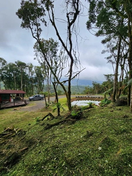 Terreno com Casa: 10ª foto da galeria de imagens do imóvel