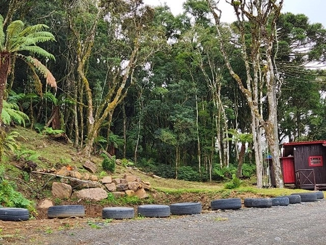 Terreno com Casa: 6ª foto da galeria de imagens do imóvel