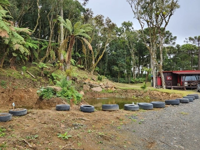 Terreno com Casa: 15ª foto da galeria de imagens do imóvel