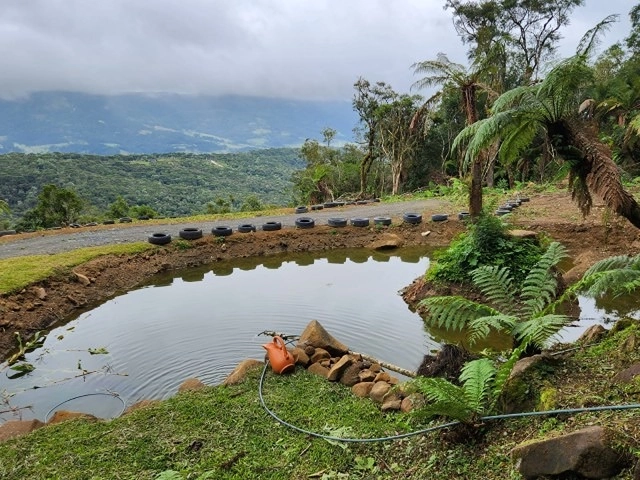 Terreno com Casa: 1ª foto da galeria de imagens do imóvel
