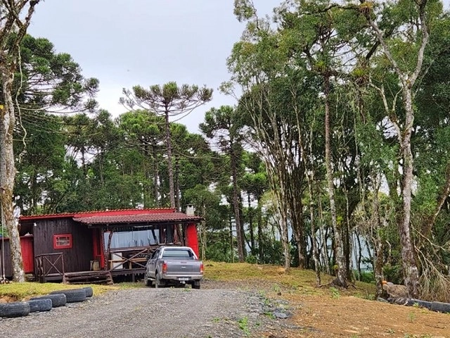 Terreno com Casa: 8ª foto da galeria de imagens do imóvel