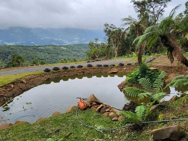 Terreno com Casa: 7ª foto da galeria de imagens do imóvel