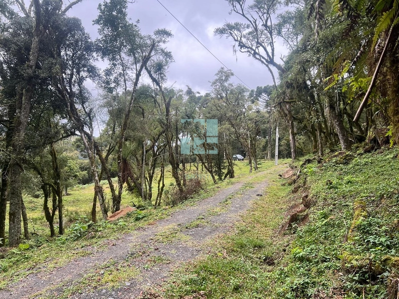 Terreno em Rio dos Bugres- Urubici: 6ª foto da galeria de imagens do imóvel