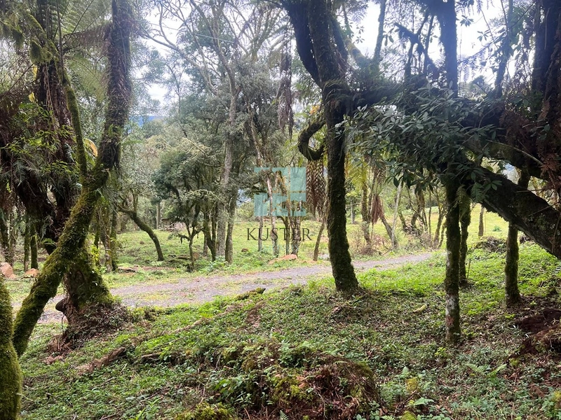 Terreno em Rio dos Bugres- Urubici: 2ª foto da galeria de imagens do imóvel