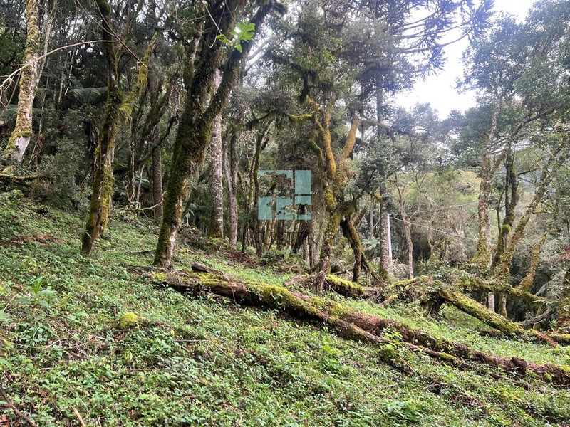 Terreno em Rio dos Bugres- Urubici: 4ª foto da galeria de imagens do imóvel