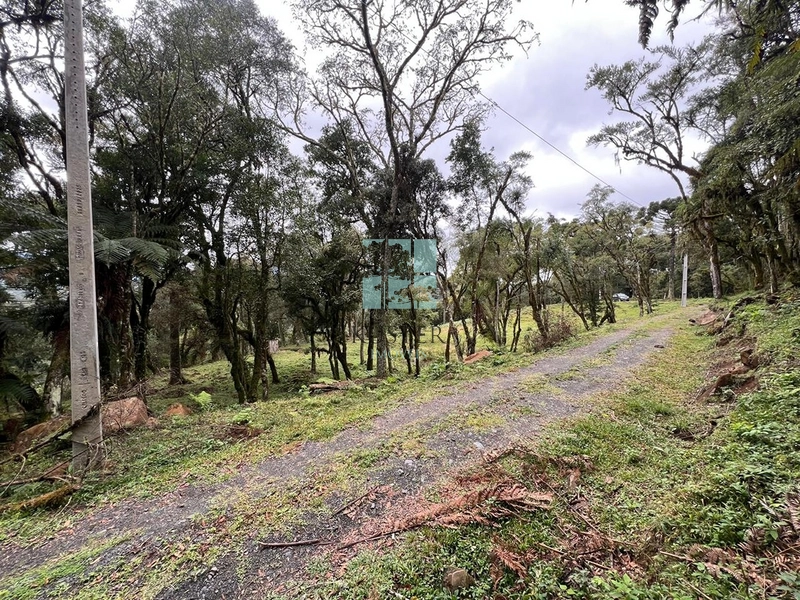 Terreno em Rio dos Bugres- Urubici: 1ª foto da galeria de imagens do imóvel