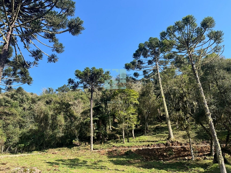 Terreno em Rio dos Bugres- Urubici: 3ª foto da galeria de imagens do imóvel