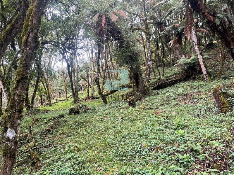 Terreno em Rio dos Bugres- Urubici: 7ª foto da galeria de imagens do imóvel