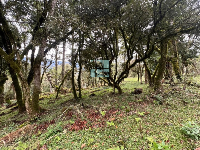 Terreno em Rio dos Bugres- Urubici: 5ª foto da galeria de imagens do imóvel