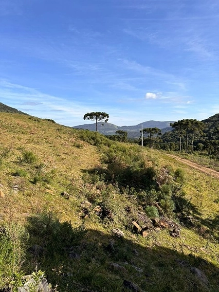 Vista linda: 2ª foto da galeria de imagens do imóvel