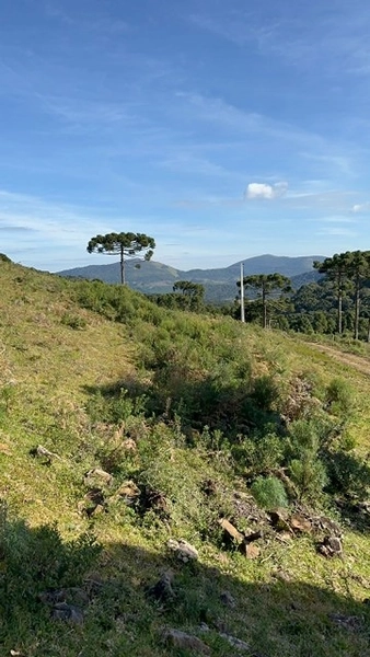 Vista linda: 4ª foto da galeria de imagens do imóvel