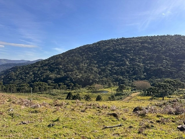 Vista linda: 7ª foto da galeria de imagens do imóvel