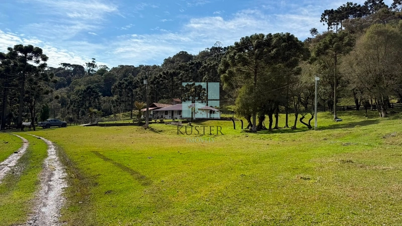 Terreno no Morro da Igreja : 1ª foto da galeria de imagens do imóvel