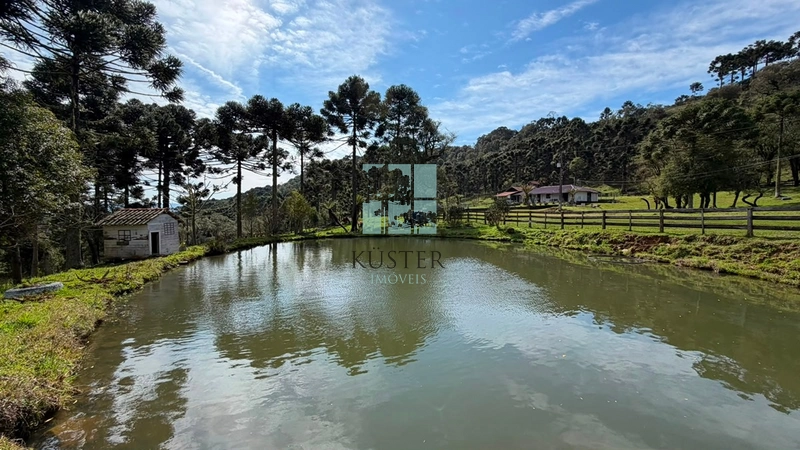 Terreno no Morro da Igreja : 3ª foto da galeria de imagens do imóvel