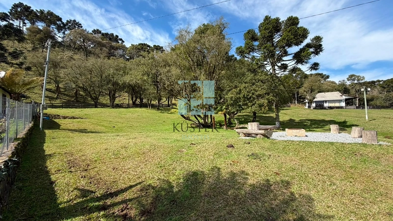 Terreno no Morro da Igreja : 4ª foto da galeria de imagens do imóvel