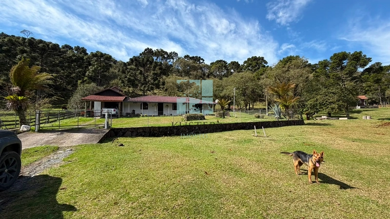 Terreno no Morro da Igreja : 2ª foto da galeria de imagens do imóvel