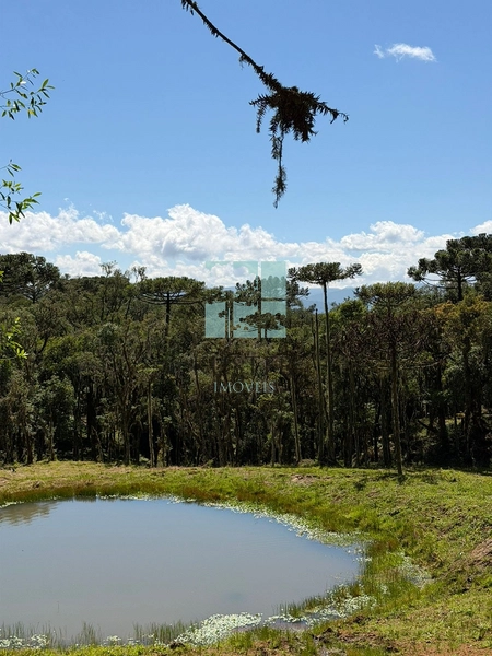 Terreno à Venda em Urubici – Excelente Localização: 18ª foto da galeria de imagens do imóvel
