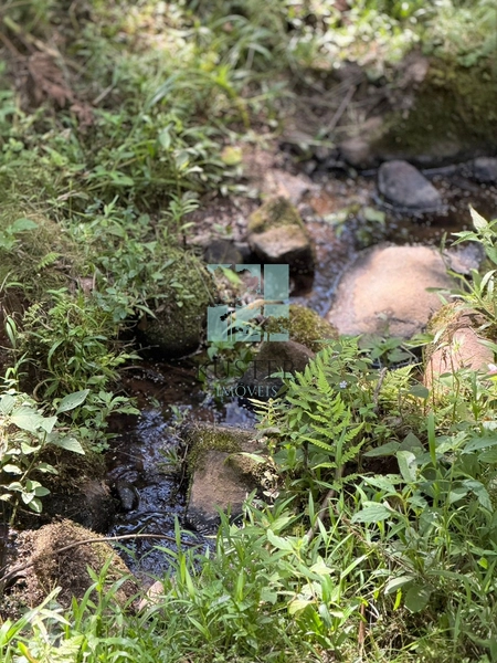 Terreno à Venda em Urubici – Excelente Localização: 4ª foto da galeria de imagens do imóvel