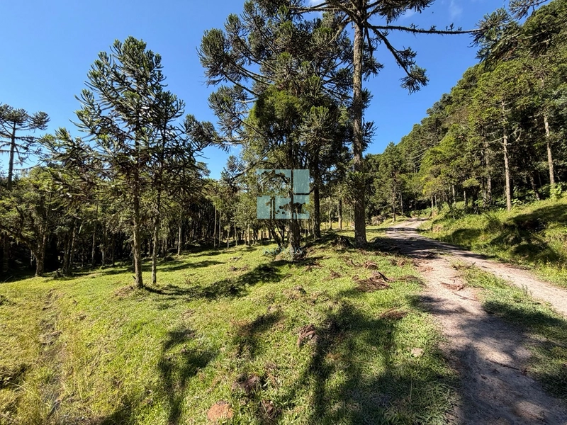Terreno à Venda em Urubici – Excelente Localização: 11ª foto da galeria de imagens do imóvel