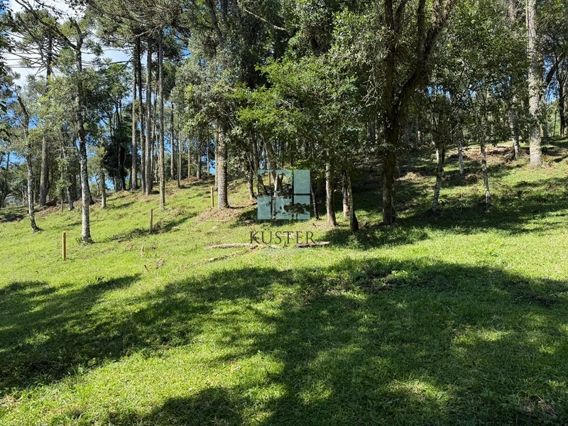 Terreno à Venda em Urubici – Excelente Localização: 9ª foto da galeria de imagens do imóvel