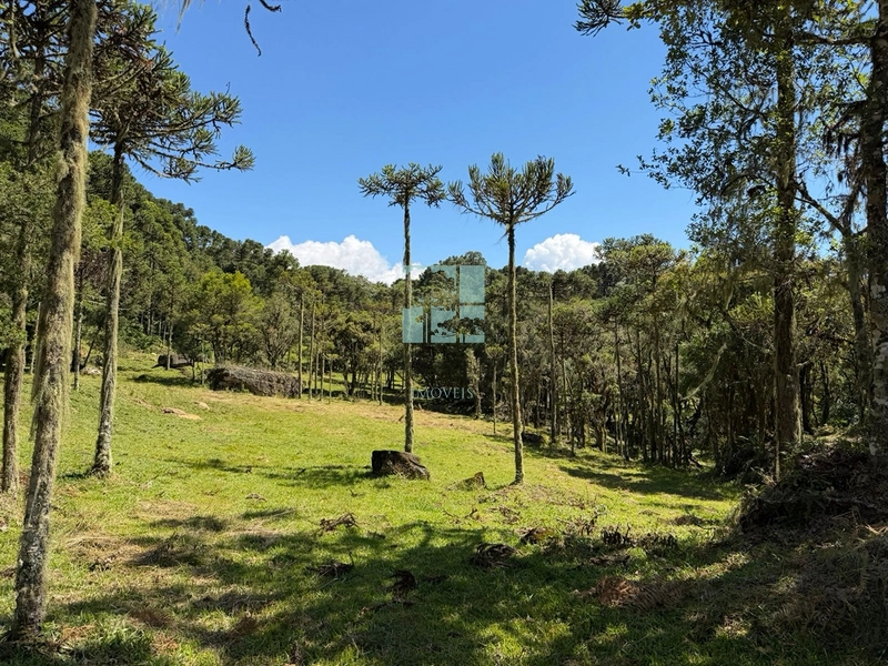 Terreno à Venda em Urubici – Excelente Localização: 16ª foto da galeria de imagens do imóvel